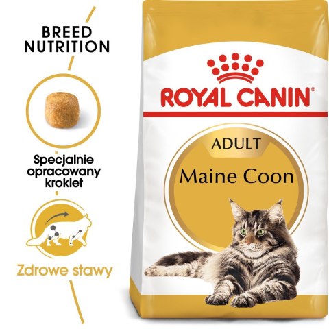 ROYAL CANIN FBN Maine Coon Adult - sucha karma dla dorosłego kota - 10kg ROYAL CANIN FBN Maine Coon Adult - sucha karma dla dorosłego kota - 10kg