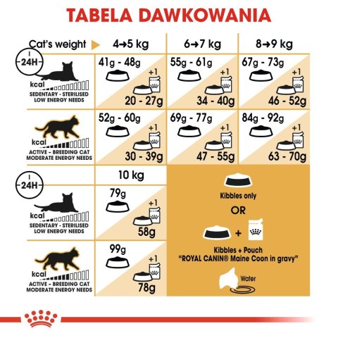 ROYAL CANIN FBN Maine Coon Adult - sucha karma dla dorosłego kota - 10kg ROYAL CANIN FBN Maine Coon Adult - sucha karma dla dorosłego kota - 10kg