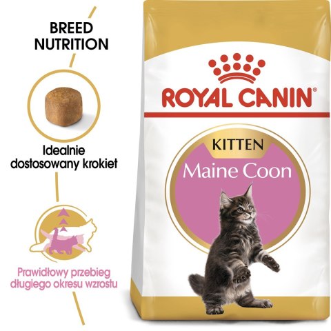ROYAL CANIN FBN Maine Coon Kitten - sucha karma dla kociąt - 2kg ROYAL CANIN FBN Maine Coon Kitten - sucha karma dla kociąt - 2kg