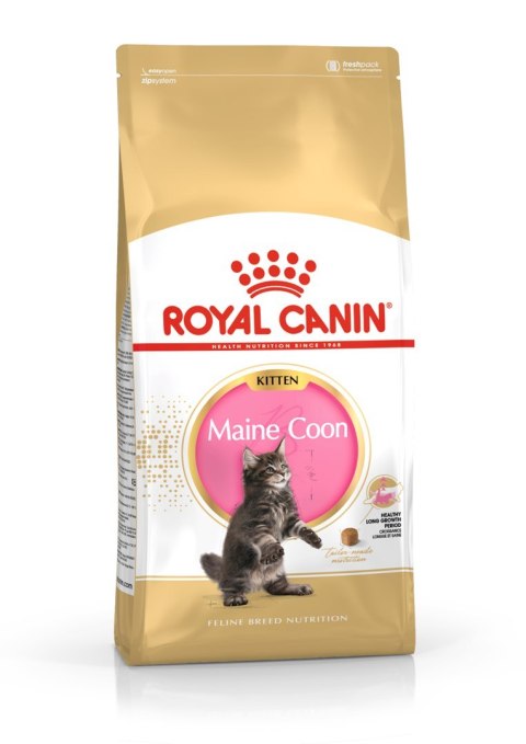 ROYAL CANIN FBN Maine Coon Kitten - sucha karma dla kociąt - 2kg ROYAL CANIN FBN Maine Coon Kitten - sucha karma dla kociąt - 2kg