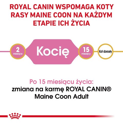 ROYAL CANIN FBN Maine Coon Kitten - sucha karma dla kociąt - 2kg ROYAL CANIN FBN Maine Coon Kitten - sucha karma dla kociąt - 2kg