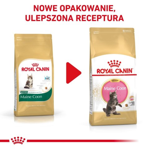 ROYAL CANIN FBN Maine Coon Kitten - sucha karma dla kociąt - 4kg ROYAL CANIN FBN Maine Coon Kitten - sucha karma dla kociąt - 4kg