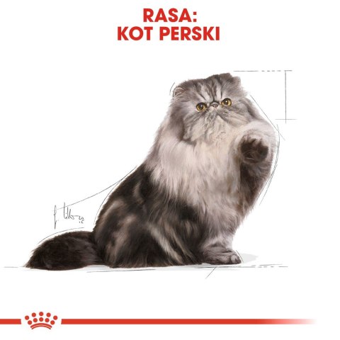 ROYAL CANIN FBN Persian Adult - sucha karma dla kota dorosłego - 10 kg ROYAL CANIN FBN Persian Adult - sucha karma dla kota dorosłego - 10 kg