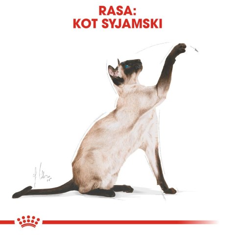 ROYAL CANIN FBN Siamese Adult - sucha karma dla dorosłego kota - 2kg ROYAL CANIN FBN Siamese Adult - sucha karma dla dorosłego kota - 2kg