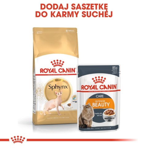 ROYAL CANIN FBN Sphynx Adult - sucha karma dla dorosłego kota - 2kg ROYAL CANIN FBN Sphynx Adult - sucha karma dla dorosłego kota - 2kg