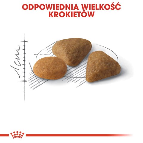 ROYAL CANIN FHN Exigent Savour Sensation - sucha karma dla kota dorosłego - 4kg ROYAL CANIN FHN Exigent Savour Sensation - sucha karma dla kota dorosłego - 4kg