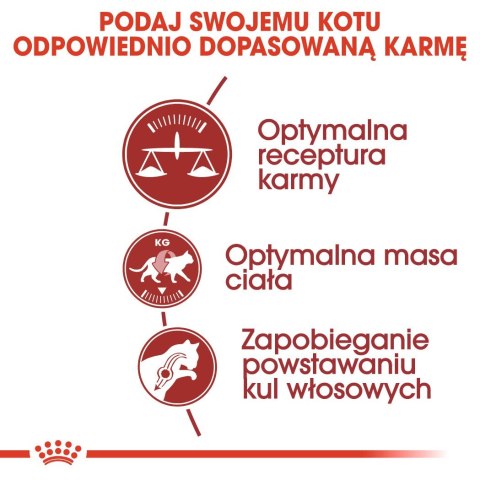 ROYAL CANIN FHN Regular Fit 32 - sucha karma dla kota dorosłego - 400 g ROYAL CANIN FHN Regular Fit 32 - sucha karma dla kota dorosłego - 400 g