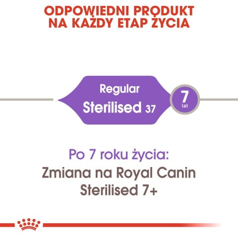 ROYAL CANIN FHN Regular Sterilised 37 - sucha karma dla kota dorosłego - 400 g ROYAL CANIN FHN Regular Sterilised 37 - sucha karma dla kota dorosłego - 400 g