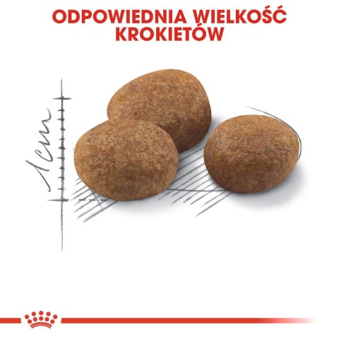 ROYAL CANIN FHN Sterilised 7+ - sucha karma dla kota dorosłego - 10 kg ROYAL CANIN FHN Sterilised 7+ - sucha karma dla kota dorosłego - 10 kg