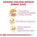 ROYAL CANIN Maine Coon Kitten 0,4kg