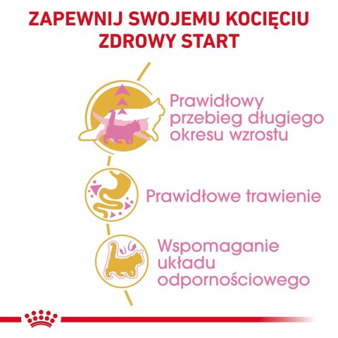 ROYAL CANIN Maine Coon Kitten 0,4kg ROYAL CANIN Maine Coon Kitten 0,4kg