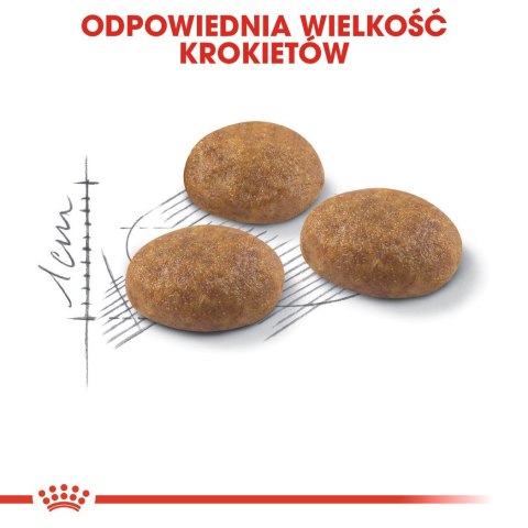 ROYAL CANIN Outdoor 30 0,4kg ROYAL CANIN Outdoor 30 0,4kg