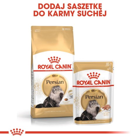 Royal Canin FBN Persian Adult - sucha karma dla kota dorosłego - 4kg Royal Canin FBN Persian Adult - sucha karma dla kota dorosłego - 4kg