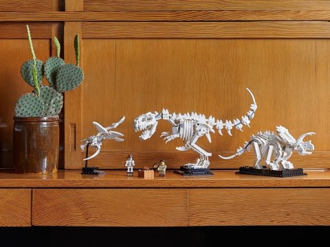 LEGO 21320 Ideas Szkielety dinozaurów LEGO 21320 Ideas Szkielety dinozaurów