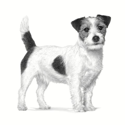 ROYAL CANIN Gastrointestinal Low Fat Small 3,5kg ROYAL CANIN Gastrointestinal Low Fat Small 3,5kg