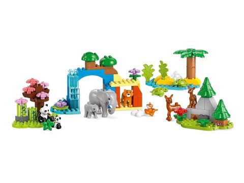 LEGO DUPLO TOWN 10446 LEGO DUPLO TOWN 10446
