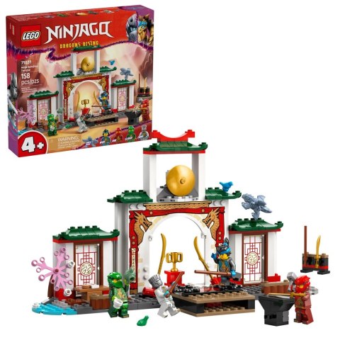 LEGO NINJAGO 71831 LEGO NINJAGO 71831