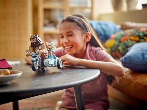 LEGO HARRY POTTER 76443 LEGO HARRY POTTER 76443