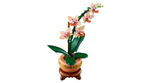 LEGO BOTANICALS 10343 Mała orchidea LEGO BOTANICALS 10343 Mała orchidea