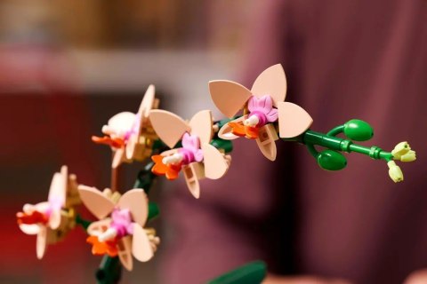 LEGO BOTANICALS 10343 Mała orchidea LEGO BOTANICALS 10343 Mała orchidea