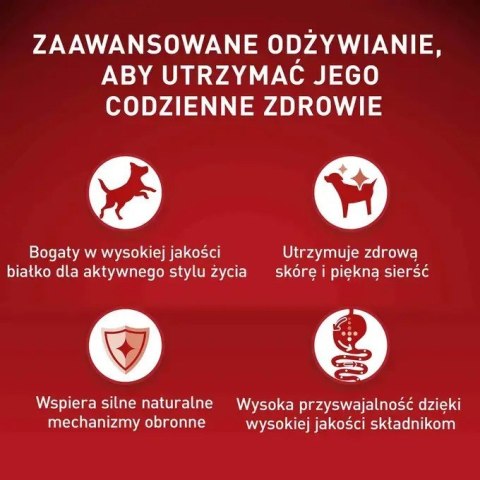 Purina ONE MINI Dog Active GiG wołowina, ziem. 85g Purina ONE MINI Dog Active GiG wołowina, ziem. 85g