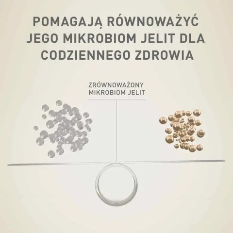 Purina ONE MINI Dog Active GiG wołowina, ziem. 85g Purina ONE MINI Dog Active GiG wołowina, ziem. 85g