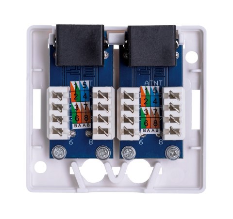 Gniazdo natynkowe Lanberg OU6-0002-W (RJ-45; UTP; kolor biały) Gniazdo natynkowe Lanberg OU6-0002-W (RJ-45; UTP; kolor biały)