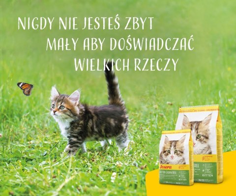 JOSERA Kitten grainfree - sucha karma dla kota - 2kg JOSERA Kitten grainfree - sucha karma dla kota - 2kg