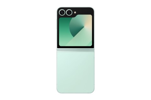 Samsung Galaxy Z Flip 6 (F741B) DS 5G 12/256GB Mint Samsung Galaxy Z Flip 6 (F741B) DS 5G 12/256GB Mint