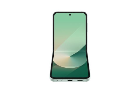 Samsung Galaxy Z Flip 6 (F741B) DS 5G 12/256GB Mint Samsung Galaxy Z Flip 6 (F741B) DS 5G 12/256GB Mint