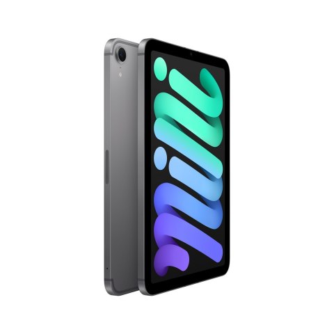Apple iPad mini Wi-Fi + Cellular 128GB Space Gray (2024) Apple iPad mini Wi-Fi + Cellular 128GB Space Gray (2024)