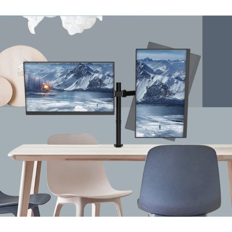 TECHLY PODWÓJNY UCHWYT BIURKOWY LED/LCD 13-27 CALI TECHLY PODWÓJNY UCHWYT BIURKOWY LED/LCD 13-27 CALI