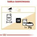 ROYAL CANIN FBN Persian Adult w formie pasztetu - mokra karma dla kota dorosłego - 12x85g