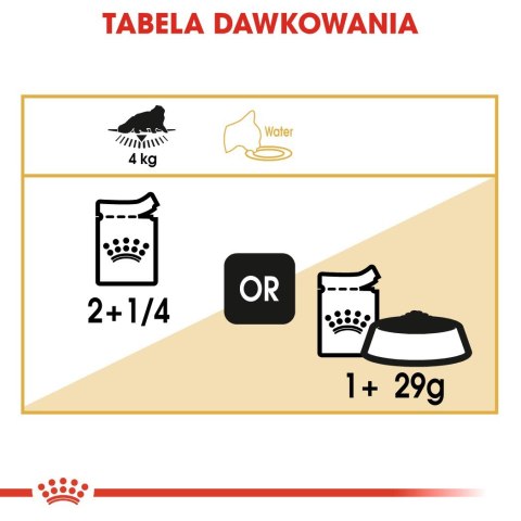 ROYAL CANIN FBN Persian Adult w formie pasztetu - mokra karma dla kota dorosłego - 12x85g ROYAL CANIN FBN Persian Adult w formie pasztetu - mokra karma dla kota dorosłego - 12x85g