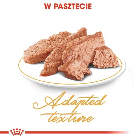 ROYAL CANIN FBN Persian Adult w formie pasztetu - mokra karma dla kota dorosłego - 12x85g ROYAL CANIN FBN Persian Adult w formie pasztetu - mokra karma dla kota dorosłego - 12x85g