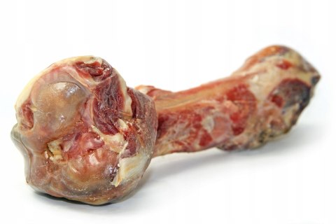 Eden Kość Prosciutto Udowa Cała 300g Eden Kość Prosciutto Udowa Cała 300g