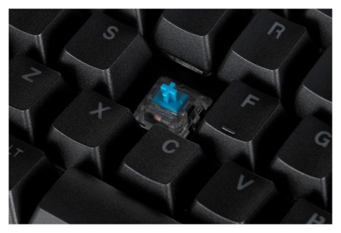 Klawiatura gamingowa ENDORFY Omnis Kailh Blue RGB Klawiatura gamingowa ENDORFY Omnis Kailh Blue RGB
