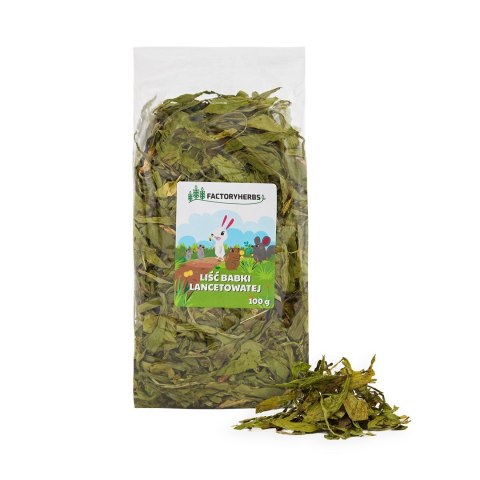 FACTORYHERBS Liść babki lancetowatej 100g FACTORYHERBS Liść babki lancetowatej 100g
