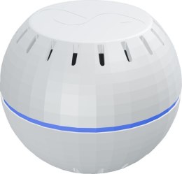 SHELLY Shelly Wave H&T (2025)