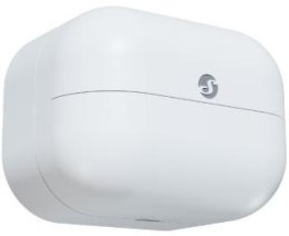 SHELLY Shelly Wave Motion (2025)