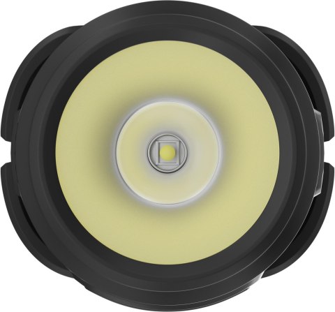 NEWELL Latarka czołowa Newell Campina Multi