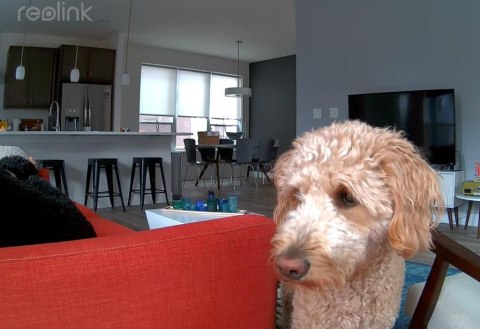 REOLINK Kamera IP Reolink E340 wewnętrzna obrotowa 8MPx WiFi biała