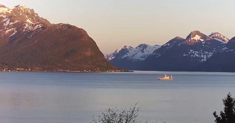 REOLINK Kamera IP Reolink P320 5MP POE biała