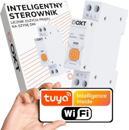 OXT Inteligentny Sterownik OXT | 63A | Licznik | WiFi | Tuya T335