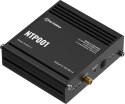 TELTONIKA Teltonika NTP001 serwer czasu NTP (NTP001000000)