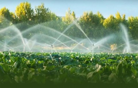 SONOFF Inteligentny zawór/licznik wody ZigBee SONOFF SWV-BSP (3/4")