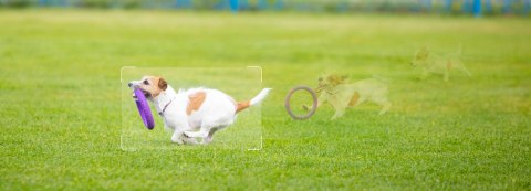 IMOU Kamera IP Imou Cruiser SC 4G 5MP