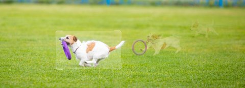 IMOU Kamera IP Imou Cruiser SC 5MP IPC-K7FP-5H0WE