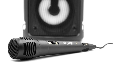 SQUEAK Głośnik Harmony Squeak SQ1004 BT, Radio FM, MP3