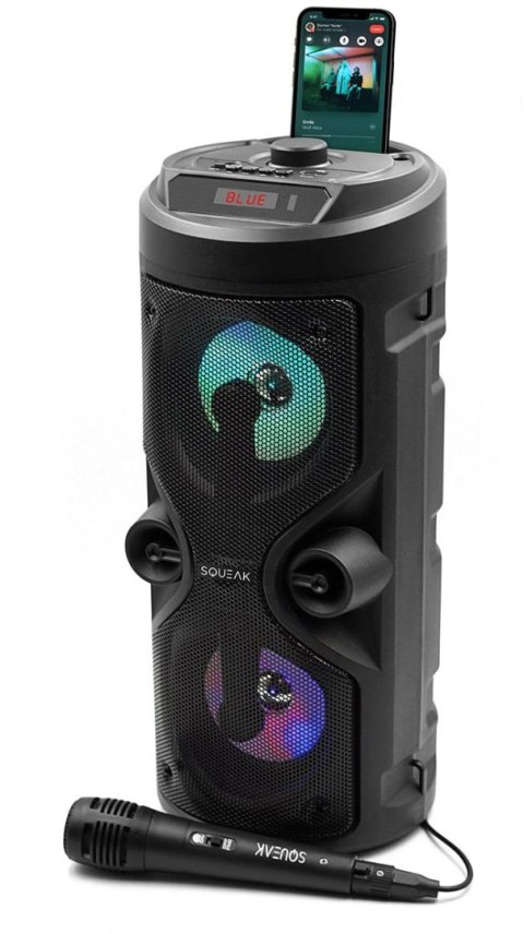 SQUEAK Głośnik Harmony Squeak SQ1004 BT, Radio FM, MP3